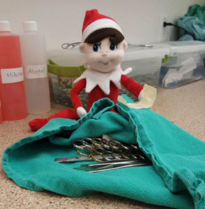 Eddie the Elf practicing his gift wrapping skills
