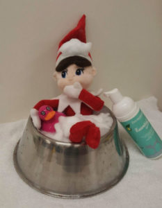 Eddie the Elf taking a Christmas bubble bath in a pet food bowl