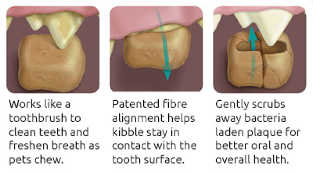 Diagram explaining how larger kibble can clean teeth