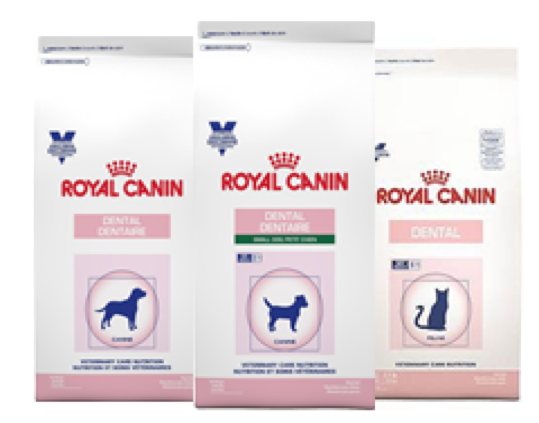Three bags of Royal Canin dental care food