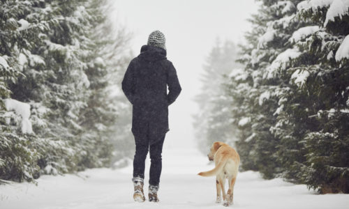 Back view of a person and dog walking on a snowy path