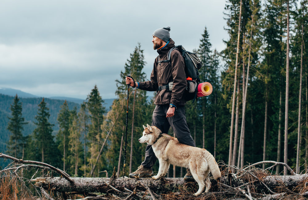 A man and dog standing on a fallen tree trunk